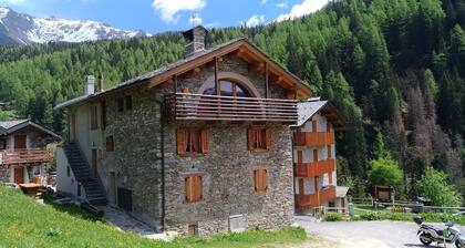 VERY RUSTIC ALPINE