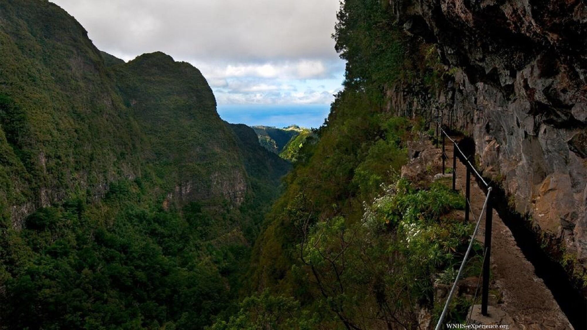 A narrow canyon with a rope bridge.