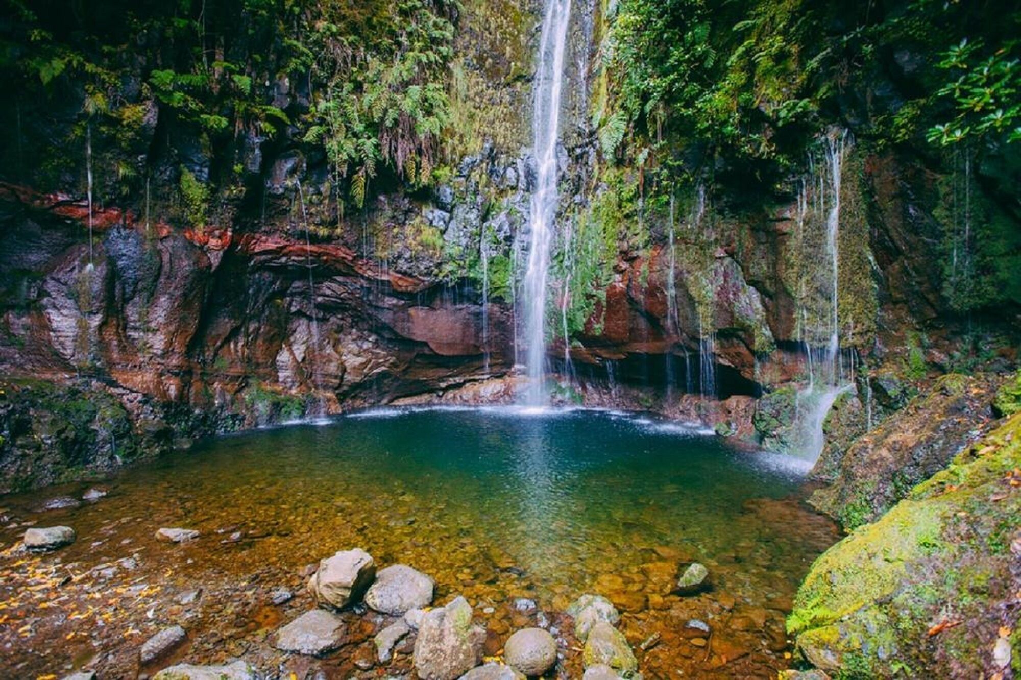 Une cascade naturelle située dans une zone boisée, avec de l’eau claire et des rochers au fond.