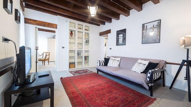 A living room with a sofa, a red rug, a television on a stand, and a bookshelf. - Ve.N.I.Ce. Cera Casa Santo Stefano  (Venezia)