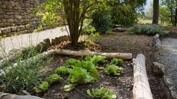 Overnatningsstedets område