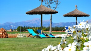 Zona verde con dos sombrillas de paja, un molino y una montaña al fondo.