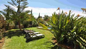 A well-maintained garden with a lawn, a large tree, and a bird of paradise flower. - Casa Antonio: Rural Charm with Pool (Buger)