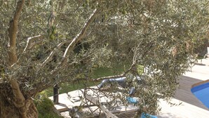 Una terraza de madera con piscina, rodeada de olivos y un pequeño jardín.