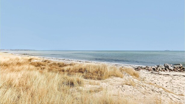 A beach with dry grass and rocks, a clear sky, and calm water. - 3 bedroom gorgeous home in Rudkøbing (Rudkøbing)