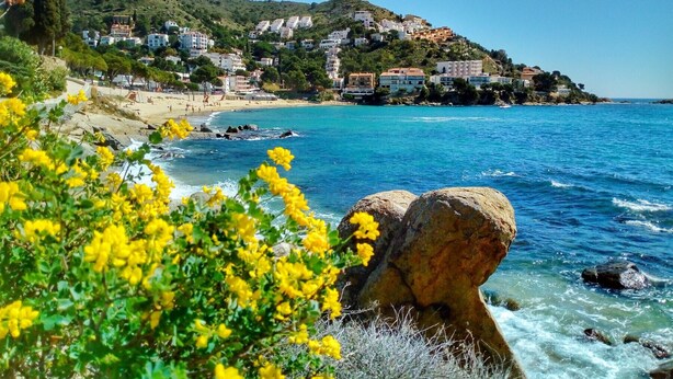 A coastal town with buildings on a hillside, a beach, and clear blue water. - RESIDENCE DE LA PLAGE BJS 3 Roses (Rosas / Roses)