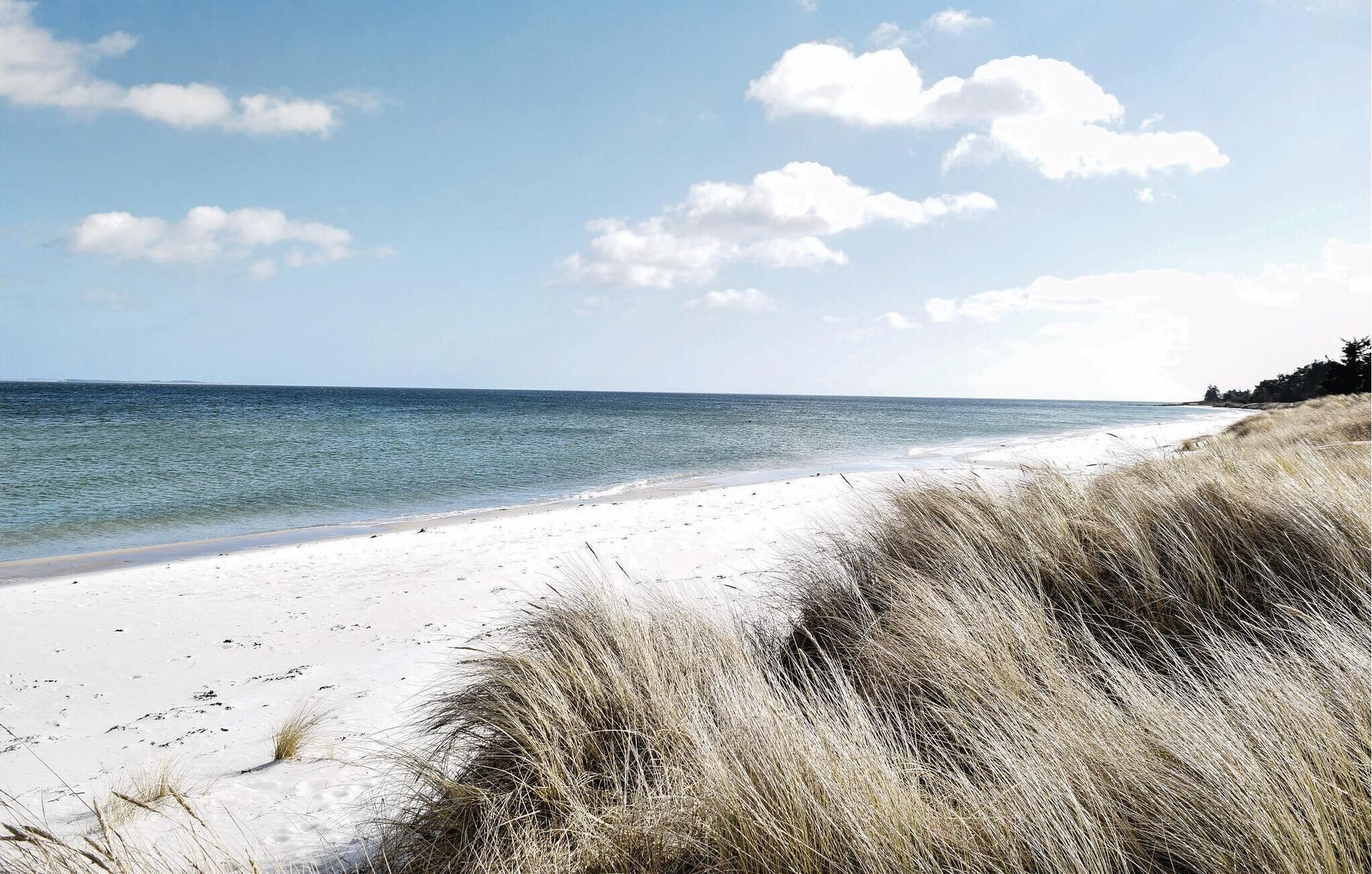 Nær stranden og fisking