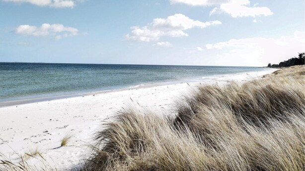 A beach with white sand and sparse grass in the foreground. - 4 bedroom nice home in Odder (Odder)