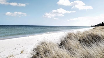Una spiaggia nelle vicinanze, pesca