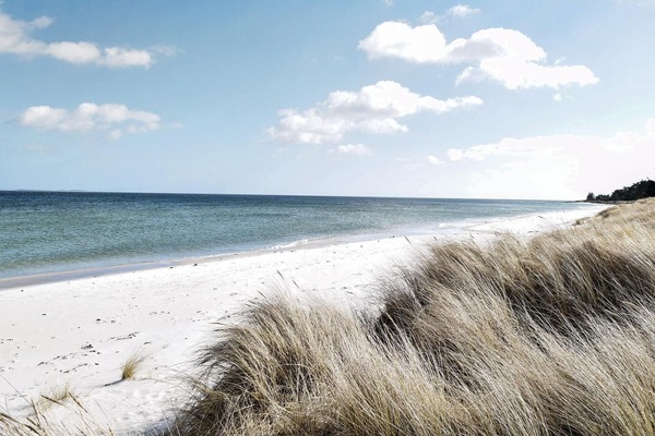 Beach nearby, fishing
