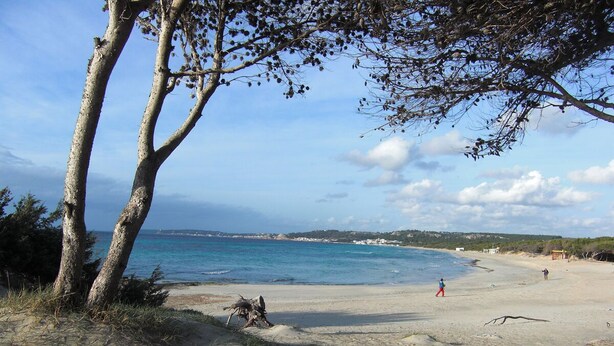A beach with clear blue water, sandy shore, and a few people.