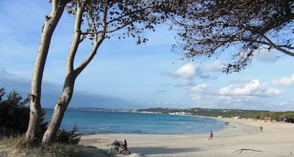 Rest and relaxation! Terreno Ro-Bi-Li-Apartment Family friendly up to 9 pers.