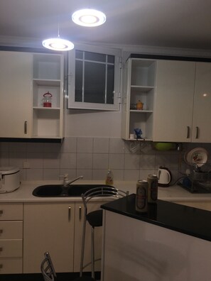 Full-sized fridge, microwave, oven, stovetop