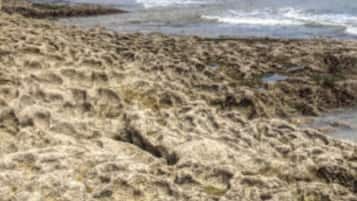 Vlak bij het strand