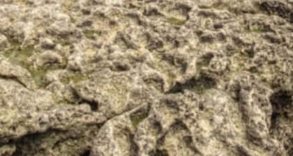 villa 300 m plage commerces calme linge compris convient à tout public