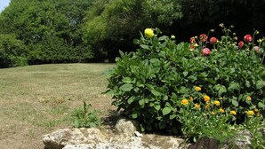 En have med mange blomster og en sti af sten.
