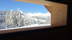 Janela com vista para árvores e montanhas cobertas de neve.