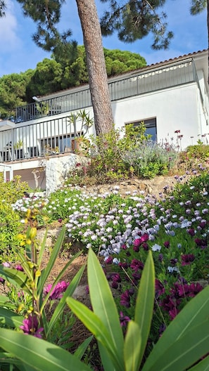 Property grounds - Superb Villa with private pool with Stunning sea views on Barcelona coast. (Sant Pol de Mar)