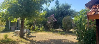 125 - Ferienhaus, 6 Min. bis zum Strand von Le Pin Sec