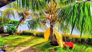 Un jardín tropical con palmeras, una hamaca y un banco rojo.