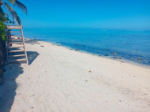 Une plage avec une échelle en bois menant à une structure, une eau d’un bleu limpide et un palmier.