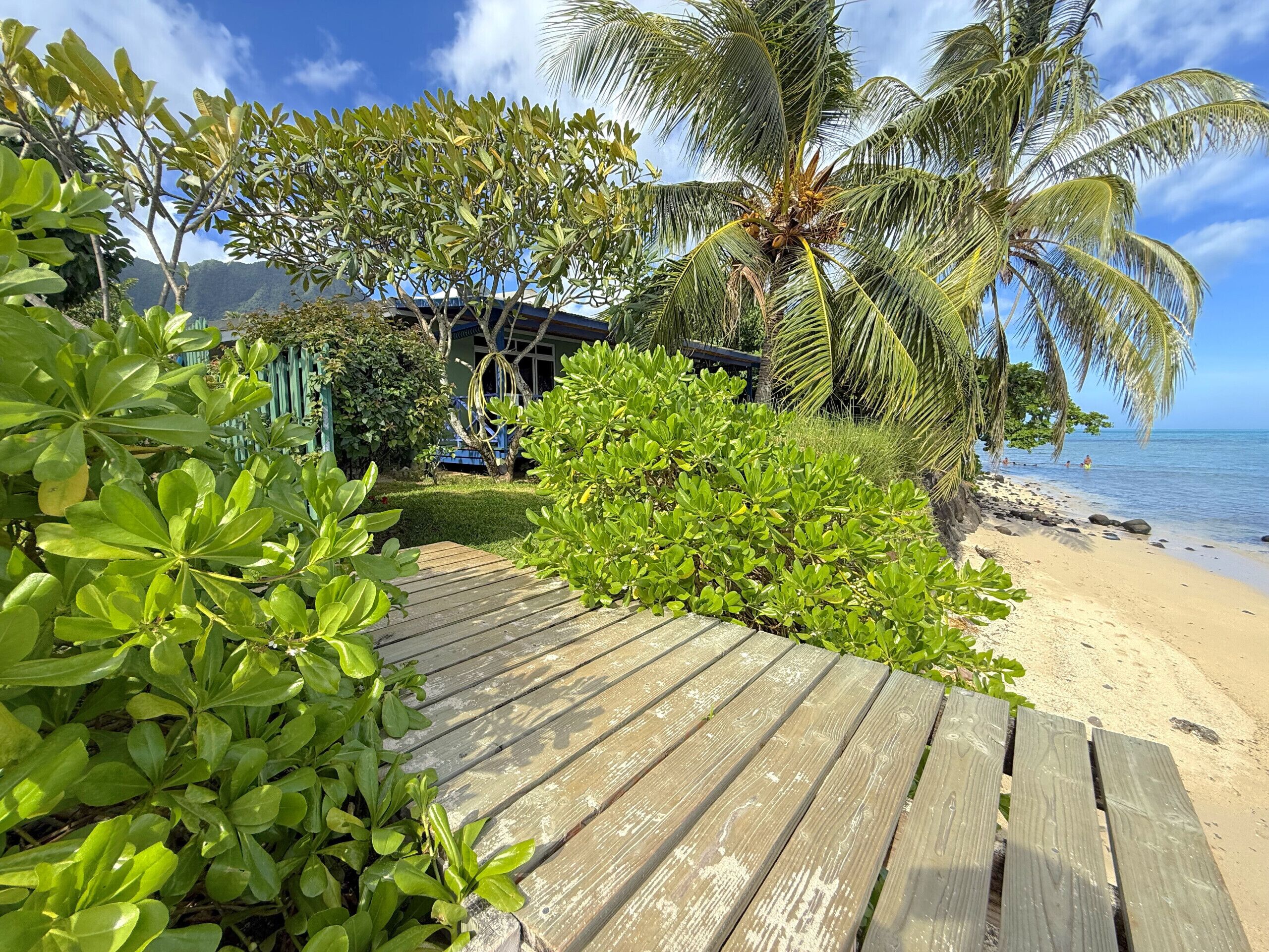 En träbrygga som leder ner till en strand med palmer och ett hus i bakgrunden.