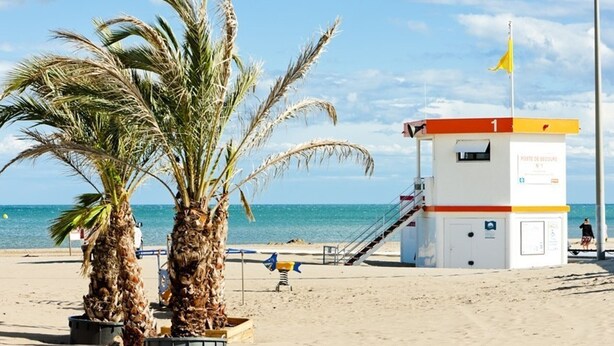 A beach with palm trees and a lifeguard tower. - Studio mezzanine with pool, parking, Narbonne-Plage (Narbonne-Narbonne Plage-Narbonne Plage)