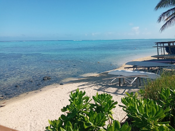 Una playa con agua cristalina, orilla de arena y algo de vegetación.
