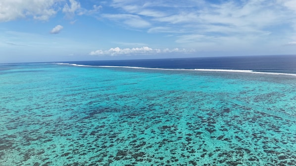 Ein tropischer Strand mit klarem, türkisblauem Wasser und einer fernen Küstenlinie.