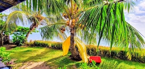 Un jardín tropical con palmeras, una hamaca y un banco rojo.