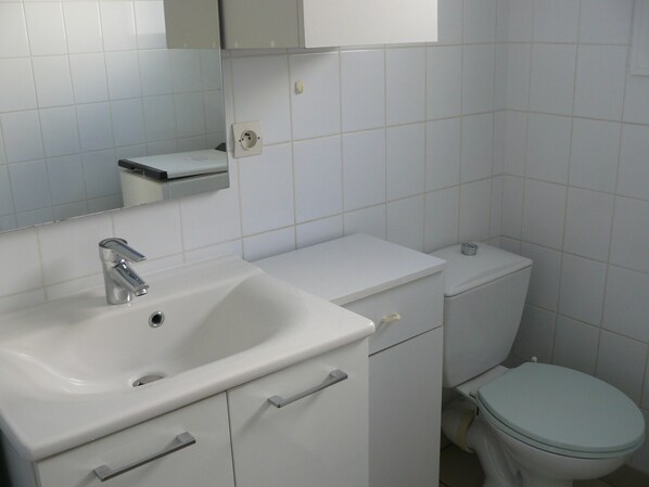 A bathroom with a white sink, mirror, and toilet. - TRIDILLE 1 - Apartment for rent with garden in Carnac - D6 (Carnac)