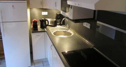 Residence in the heart of the typical old village of Les Gets while remaining calm,