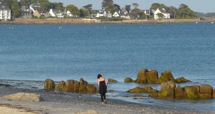 KREISKER 2 - Maison Jumelée, Jardin - CA6008