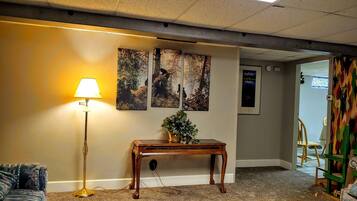 Télévision à écran plat, cheminée, Netflix, livres