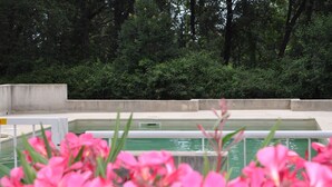 A swimming pool with a concrete deck and a view of dense green foliage in the background. - Charming apartment with large terrace and private pool 5 minutes from the beach (Santa-Lucia-Di-Moriani)