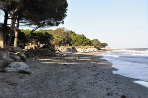 Playa en los alrededores 