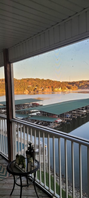 Property grounds - New Listing!, Incredible Lakefront property. Family friendly. Super relaxing! (camdenton)