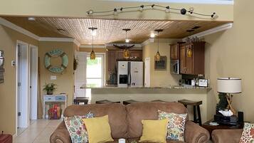 Smart TV, fireplace, DVD player, video library