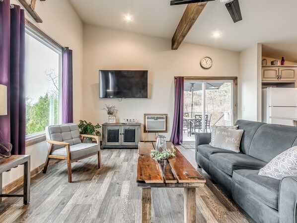 Smart TV, fireplace, DVD player, video library