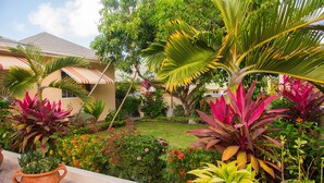 A well-maintained garden with various plants and a house in the background. - Beautiful Gated Community Vacation Home, Close to all Tourist Attractions (St. Anne's Bay)