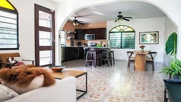 Smart TV, DVD player, books, video library