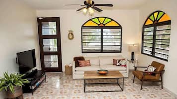 Smart TV, DVD player, books, video library