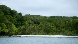 A beach with dense tropical vegetation and a sandy shore.