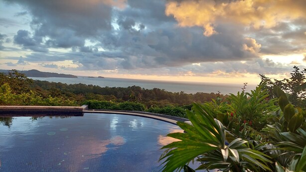A swimming pool with a curved edge, surrounded by lush greenery and a view of the sea and distant hills.