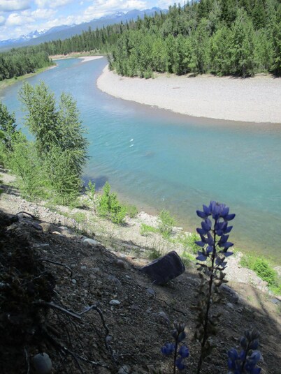 Hummer House - The West Glacier Home with a View!