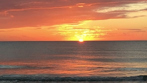 Sun-loungers, beach towels - Rad’s Cozy Cottage on Canal - Private Heated Pool, Dock & Steps Village & Beach (Siesta Key)