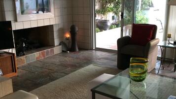 TV, fireplace, books, music library