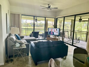 Fernseher, DVD-Player, Stereoanlage