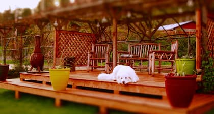 Two Dogs Inn A Pet Friendly Hidden Gem