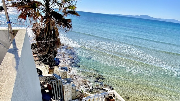Un balcó a la costa amb vista despejada al mar, una palmera i una paret de pedra.